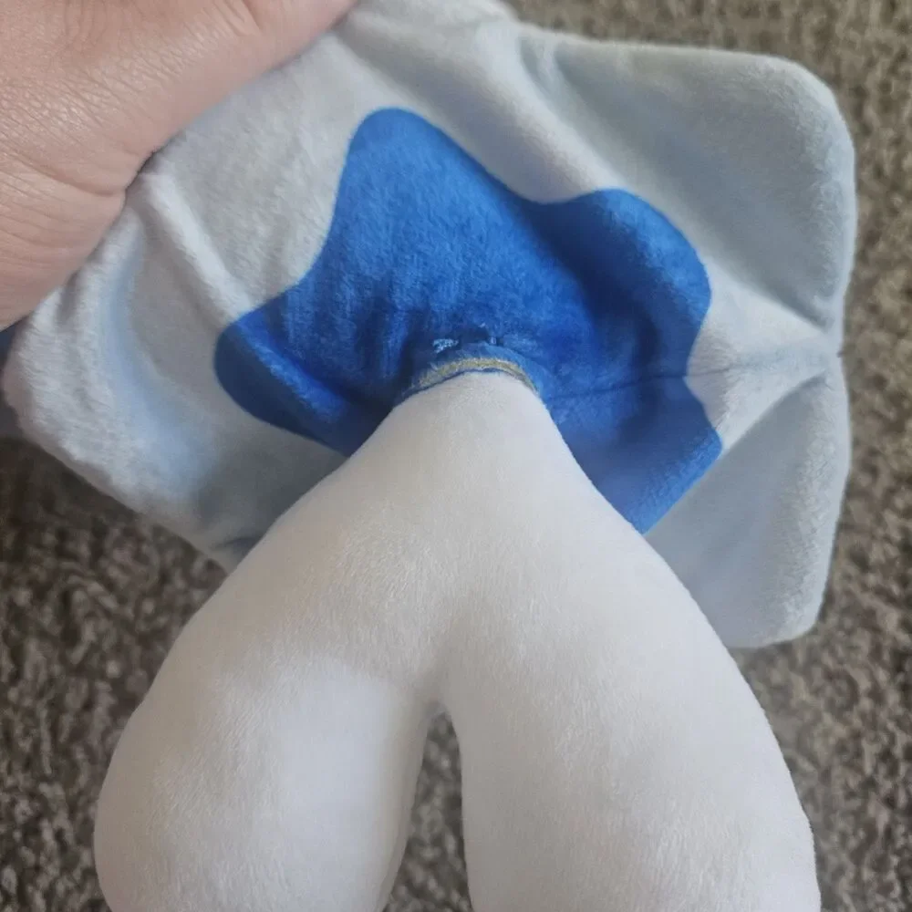 Pokemon this item